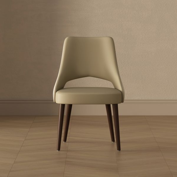 Liora Wood Upholstered Dining Side Chair in Coffee - Set of 2