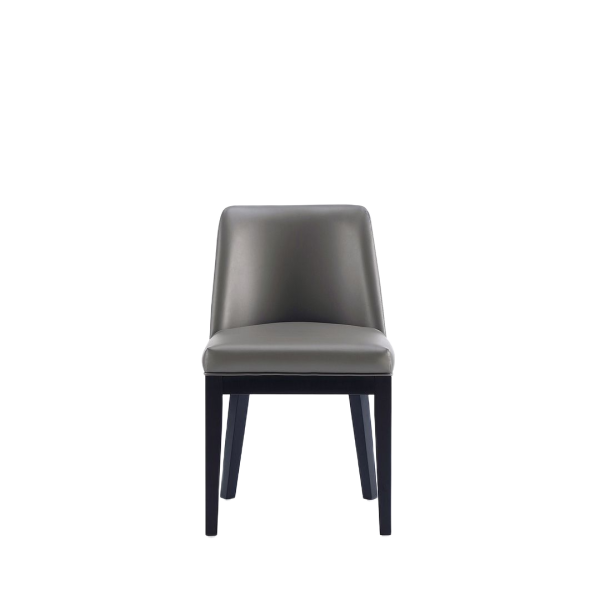 Gansevoort Wood Vegan Leather Dining Chair in Graphite - Set of 2