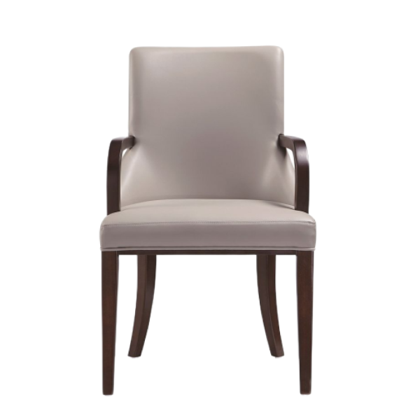 Shubert Wood Vegan Leather and Velvet Armchair in Light Grey