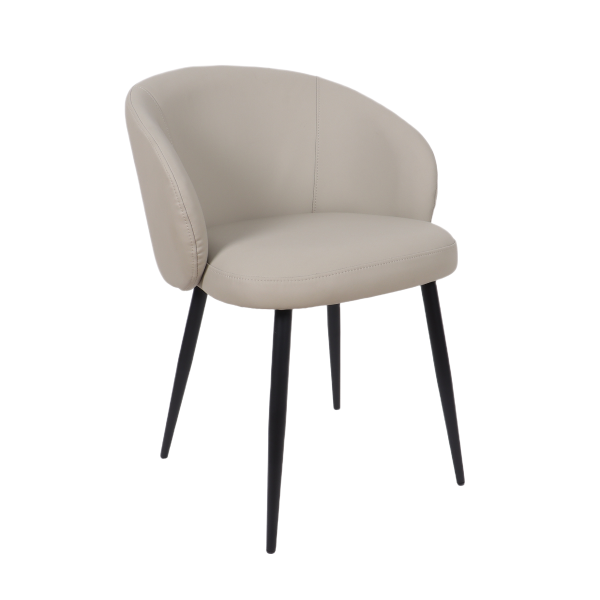 Looma Metal Vegan Leather Side Chair in Stone Gray - Set of 2