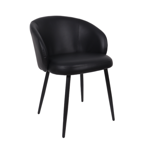 Looma Metal Vegan Leather Side Chair in Black - Set of 2