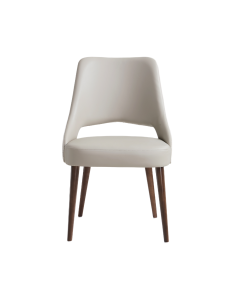 Liora Wood Upholstered Dining Side Chair - Set of 2