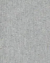 6081