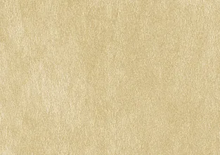6201